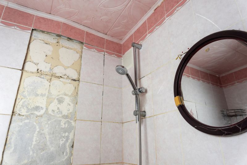Shower Remodeling in Madison Heights, MI